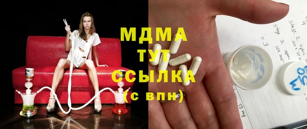 гашик Тайга