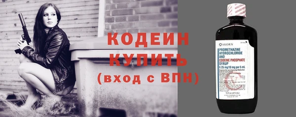 гашик Тайга