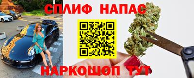 прущие грибы Волгодонск