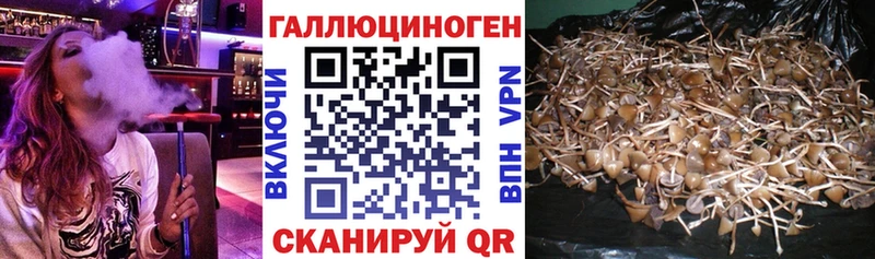 Псилоцибиновые грибы ЛСД Курск