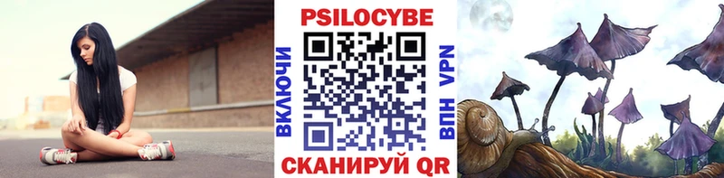 Галлюциногенные грибы Psilocybine cubensis  Курск 