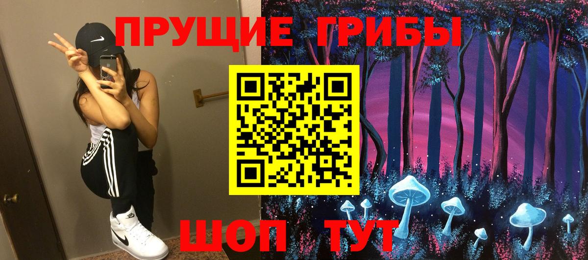 Псилоцибиновые грибы мицелий Курск