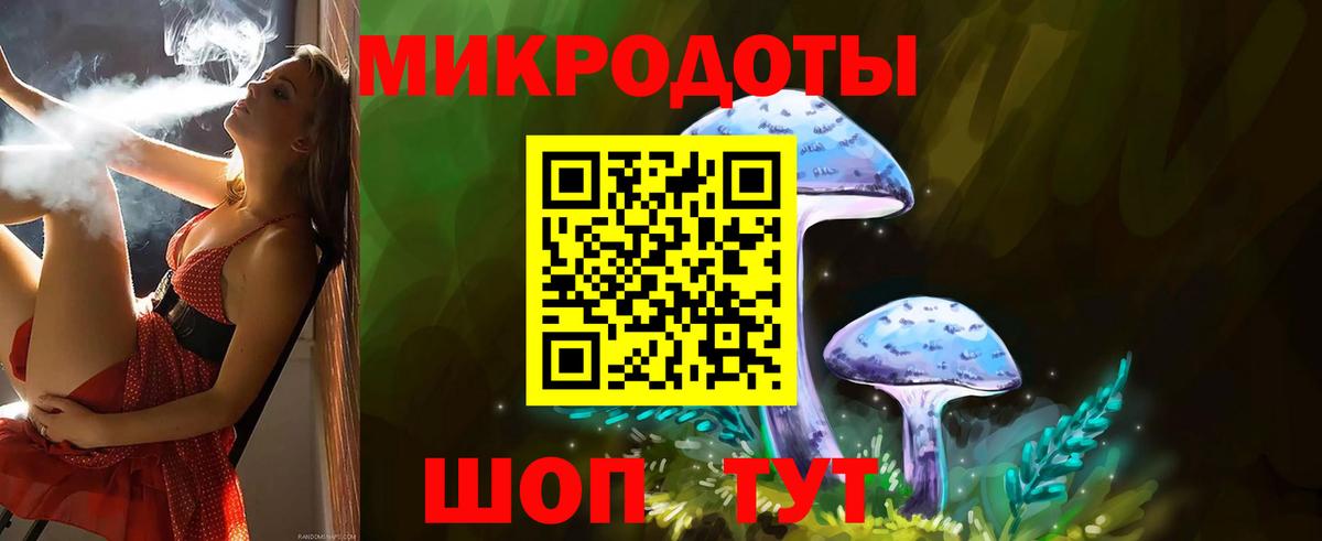 Псилоцибиновые грибы прущие грибы  Галлюциногенные грибы Psilocybe  Курск 