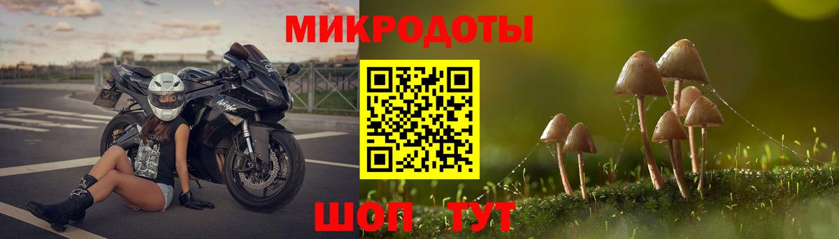 Курск  Псилоцибиновые грибы MAGIC MUSHROOMS  Вход с VPN  Галлюциногенные грибы Magic Shrooms 